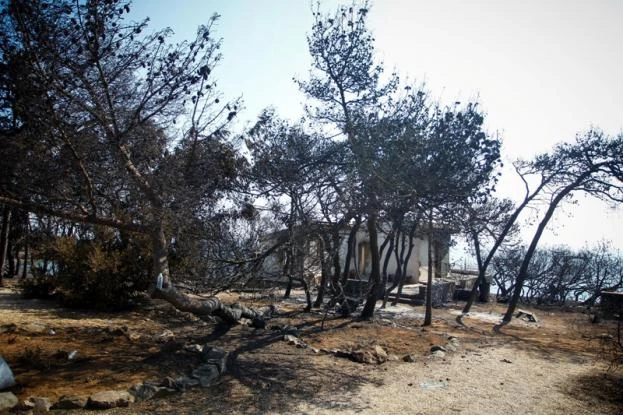 Αισιόδοξα τα μηνύματα για τα παιδιά που νοσηλεύονται στα παιδιατρικά νοσοκομεία μετά τις πυρκαγιές